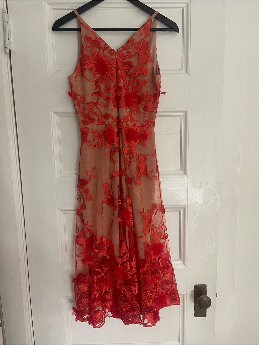 Dress the Population Audrey Lace A-Line Dress Red Floral 3D Appliqué Midi Dress